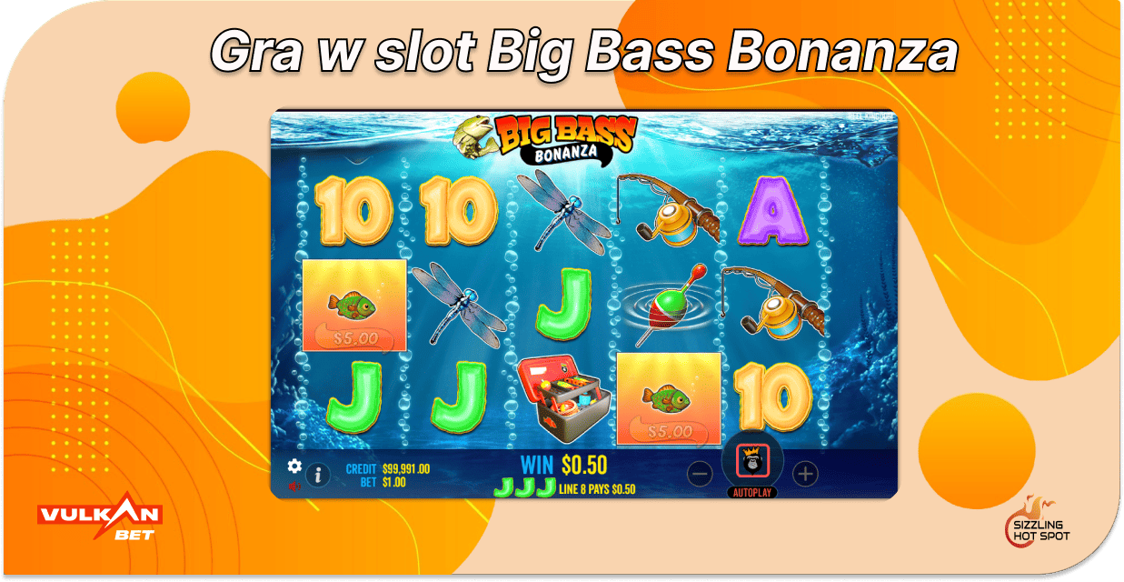 Vulkan Bet darmowe spiny w Big Bass Bonanza